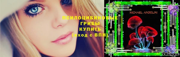 ГАЛЛЮЦИНОГЕННЫЕ ГРИБЫ Беломорск
