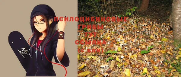 бошки Сосновка